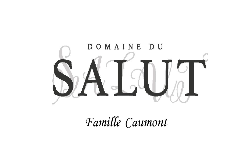 domaine-salut-logo-2025